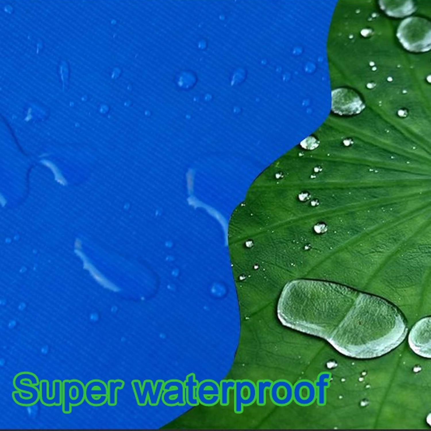 トーマス・カーティス作 バタフライバングル ランダーブルーターコイズ